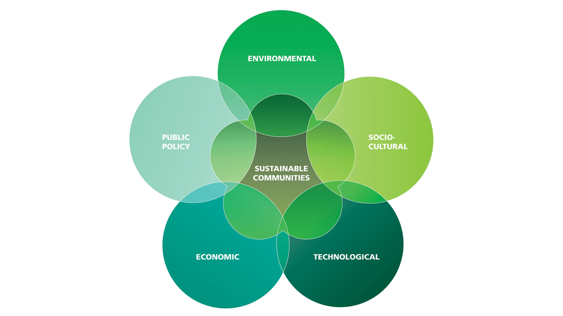 Environmental science and sustainability courses online